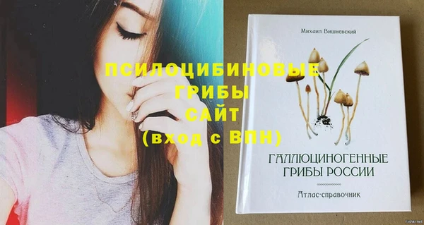 мет Карпинск