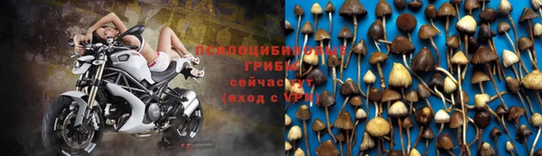 винт Беломорск
