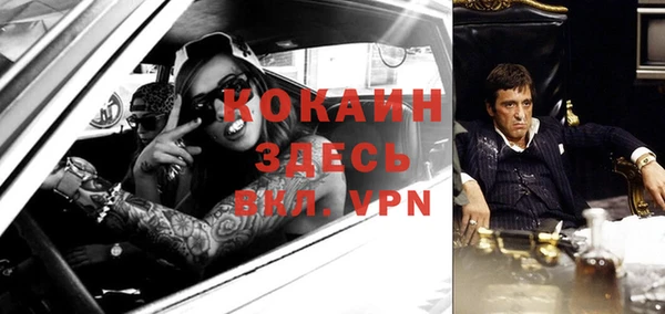 сатива Белоозёрский