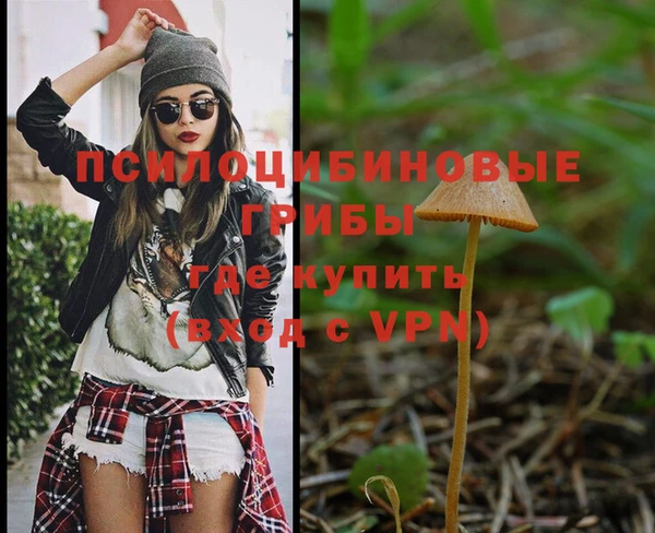 сатива Белоозёрский