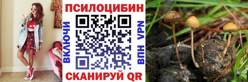 Галлюциногенные грибы Magic Shrooms  Куса 